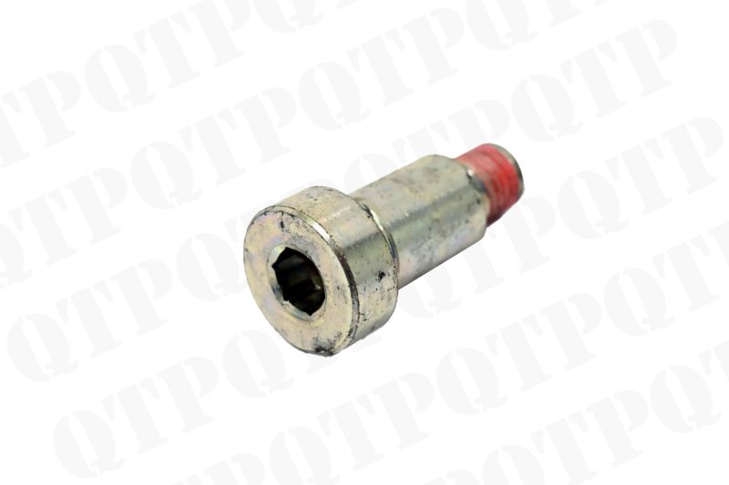 BRAKE PISTON MOUNTING SCREW
