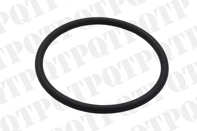 O-RING FUEL SUPPLY