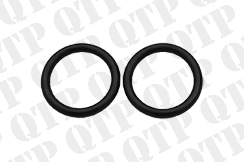 TRANSMISSION PISTON O-RING