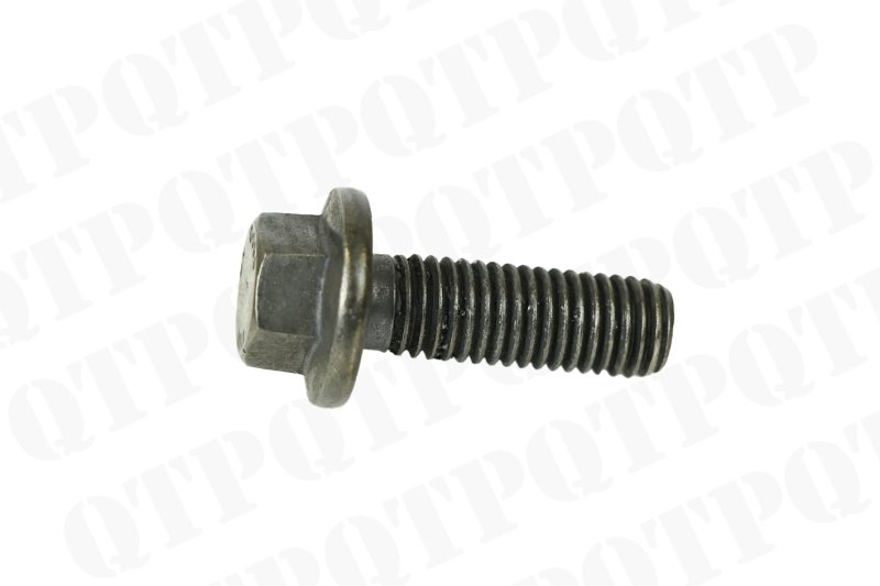 FLANGED SCREW