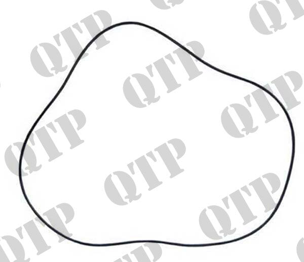 TORQUE CONVERTER O RING