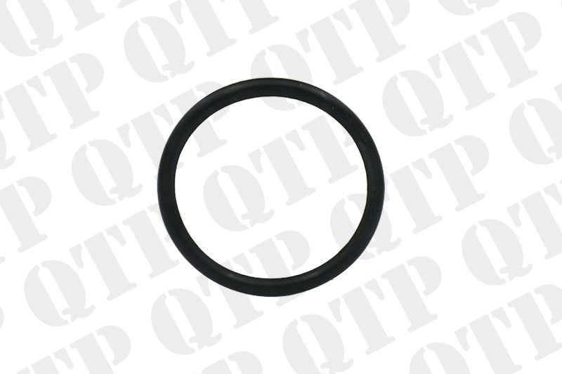 FUEL PUMP O-RING