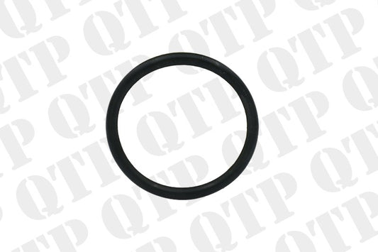 FUEL PUMP O-RING