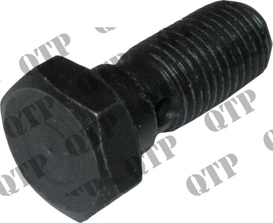 INJECTOR PUMP BANJO BOLT