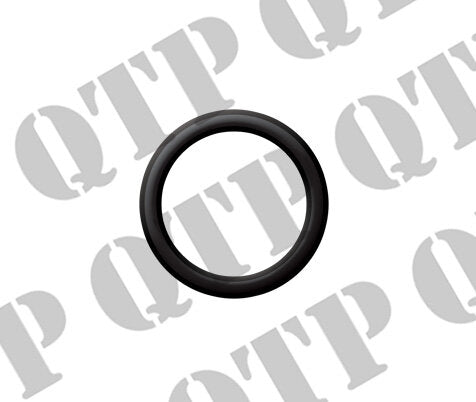 O RING FLANGE